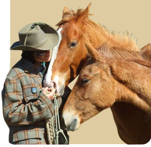 Horsriding with Backcountry saddles in Cardrona New Zealand